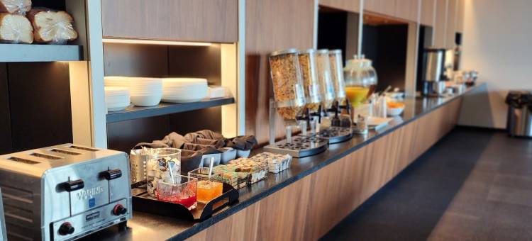 拉瓦尔-森特罗波利斯大时代酒店(Grand Times Hotel Laval - Centropolis)图片