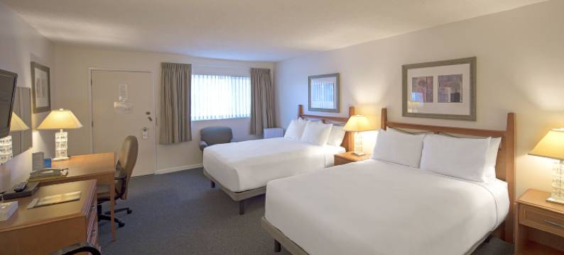 罗宾汉套房酒店(Robin Hood Inn and Suites)图片