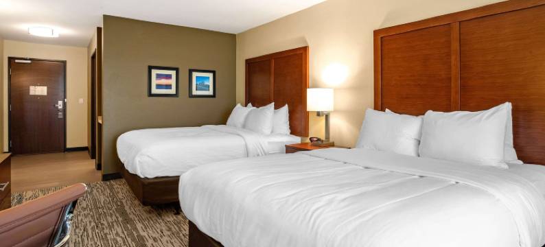 埃姆斯爱荷华州立大学校园附近舒适套房酒店(Comfort Inn and Suites Ames Near Isu Campus)图片