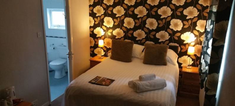 普拉斯海弗莱德酒店(Hotel Plas Hyfryd)图片