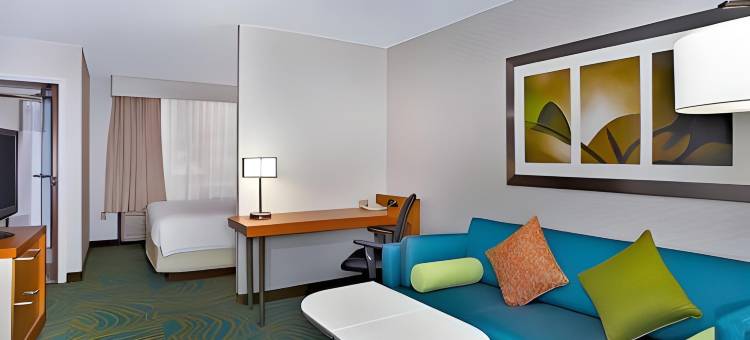 芝加哥埃尔姆赫斯特／橡树溪地区万豪SpringHill酒店(SpringHill Suites Chicago Elmhurst/Oakbrook Area)图片
