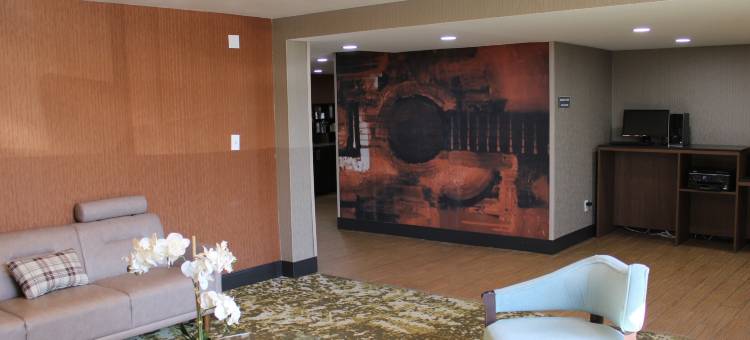 纳什维尔市中心 - 体育馆舒适套房酒店(Comfort Inn & Suites Nashville Downtown - Stadium)图片