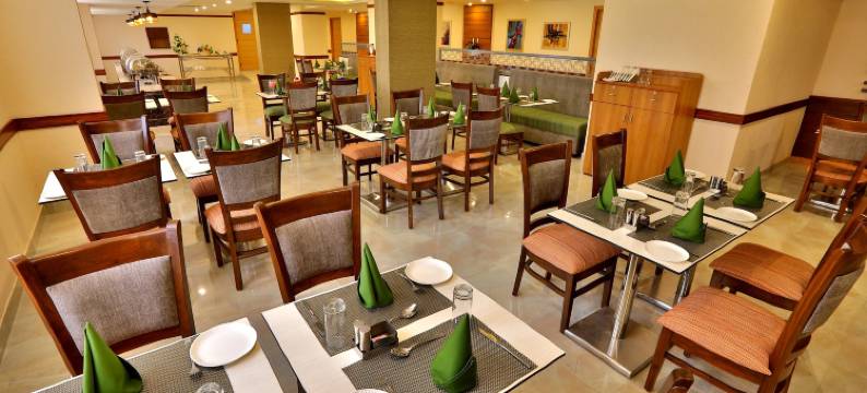 尼米拉那斯达利特套房酒店(Starlit Suites Neemrana)图片