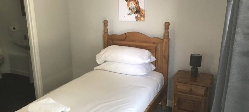 淘气迪基旅馆(The Kicking Dickey)图片