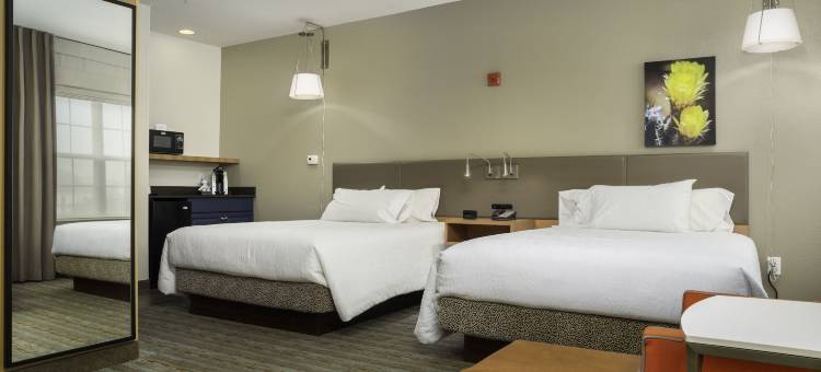 凤凰城机场希尔顿花园旅馆(Hilton Garden Inn Phoenix Airport)图片