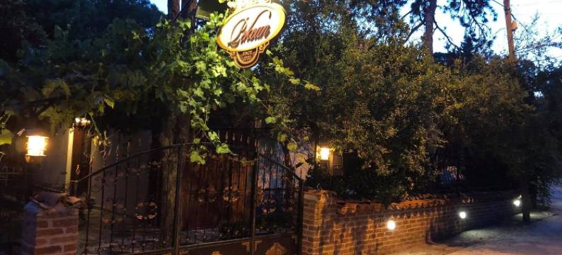 佩肯酒店(Pekcan Otel)图片