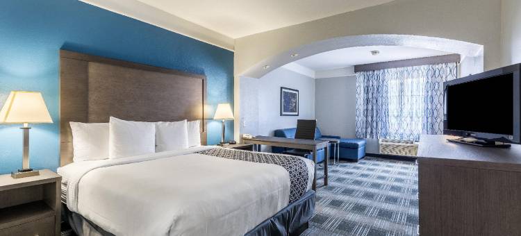 韦伯斯特铂金酒店及套房(Platinum Inn & Suites Webster)图片
