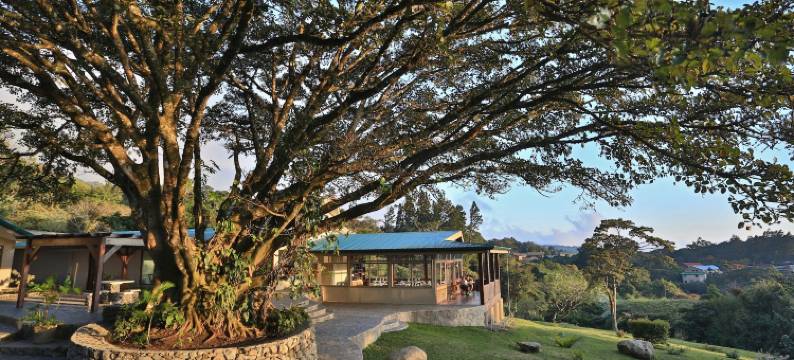 蒙特沃德森达酒店(Senda Monteverde Hotel Member of the Cayuga Collection)图片