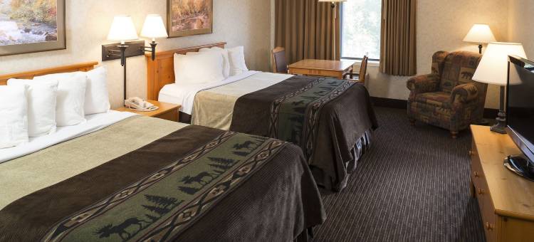 南达科他米歇尔凯利套房酒店(Kelly Inn and Suites Mitchell)图片