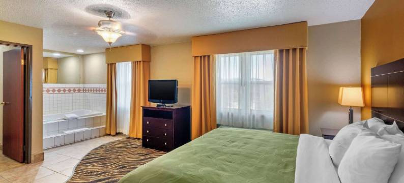 艾迪生-达拉斯品质套房酒店(Quality Suites Addison-Dallas)图片