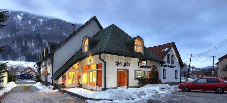 罗斯尼奇卡养生高级旅馆(Wellness Penzión Rosnička)图片