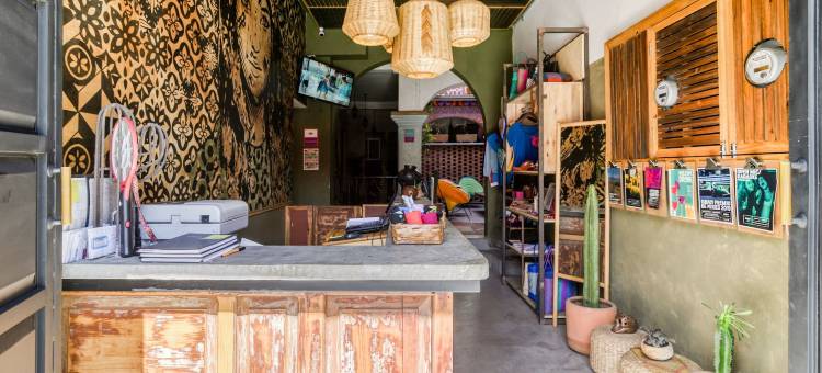 瑟琳娜瓦哈卡酒店(Selina Oaxaca)图片