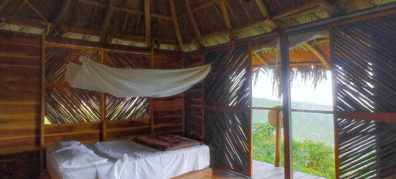 Taorayiná 自然保护区(Taorayiná nature reserve)图片