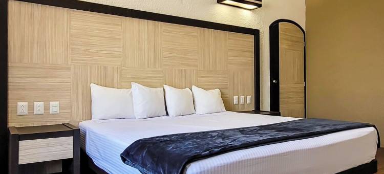 帕塞奥德拉普雷萨酒店(Hotel Paseo de la Presa)图片