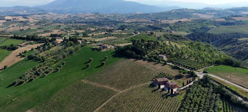 德拉斯莫酒馆(Cantina d'Erasmo - Camere e Degustazioni)图片