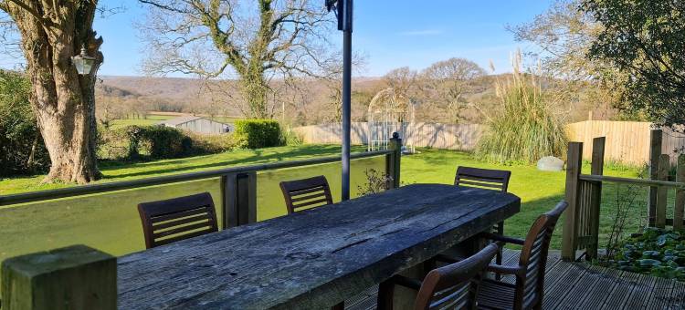 OYO 薰衣草之家酒店(OYO Lavender House Hotel)图片