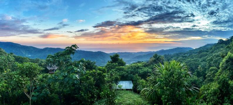 Taorayiná 自然保护区(Taorayiná nature reserve)图片