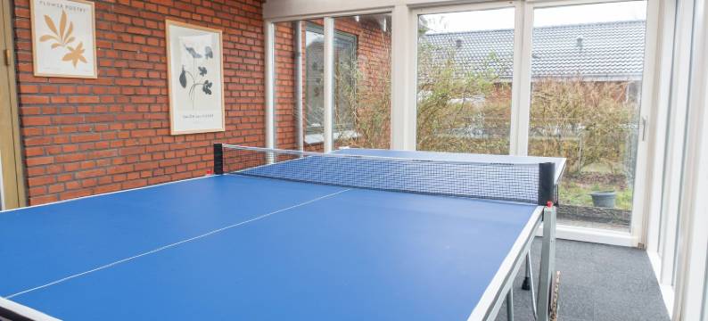 霍尔斯特布罗别墅(Villa Holstebro)图片