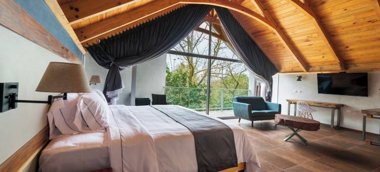 巴尔孔德尔帕尔克酒店(Hotel Balcón del Parque)图片