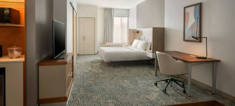 芒特劳雷尔樱桃山SpringHill Suites酒店(SpringHill Suites Mt. Laurel Cherry Hill)图片