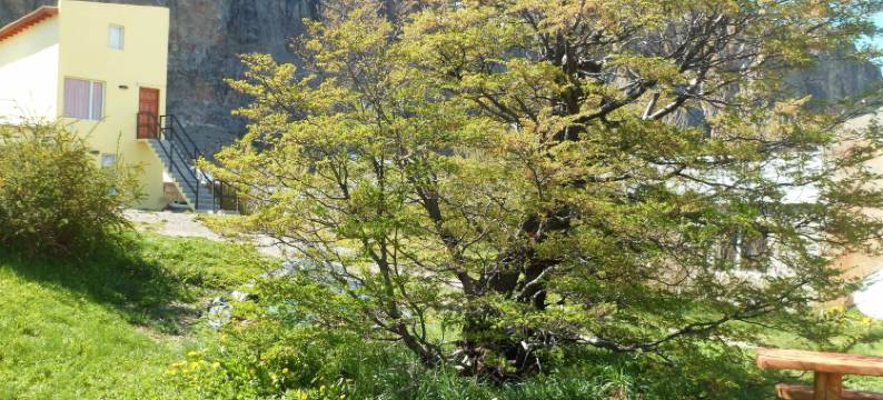 米尔纳里奥斯青年旅舍(Milenarios Hostel)图片