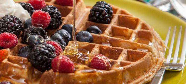 旅程旅馆家庭旅馆(Journey Inn Bed & Breakfast)图片