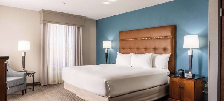 威奇托博文德鲁里广场酒店(Drury Plaza Hotel Broadview Wichita)图片