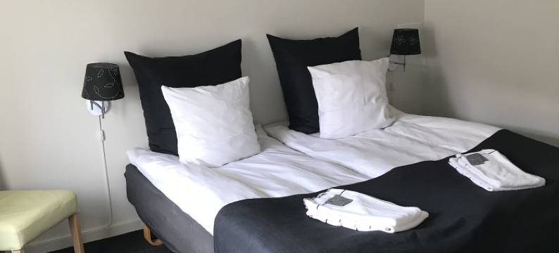 罗丁酒店(Hotel Rødding)图片