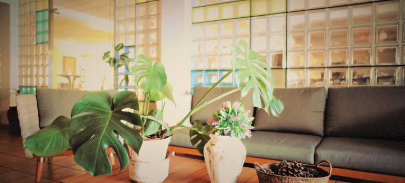 阿雅蒙提诺酒店(Hotel Ayamontino)图片