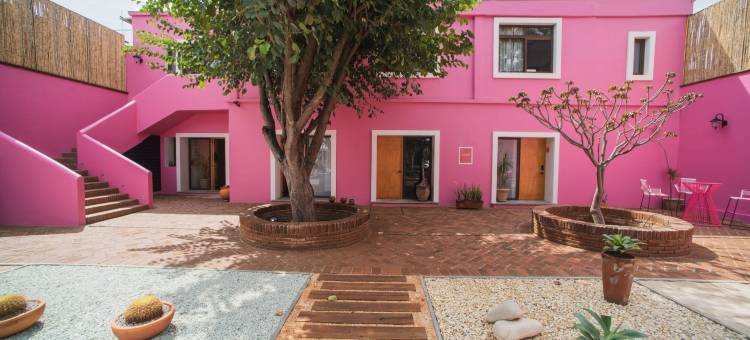 卡萨罗萨马特(Rosamate)图片