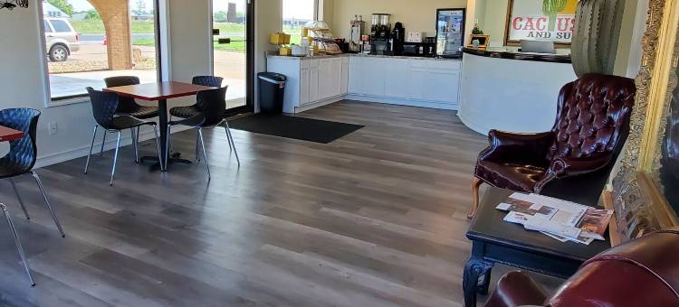 仙人掌旅馆套房(Cactus Inn and Suites)图片