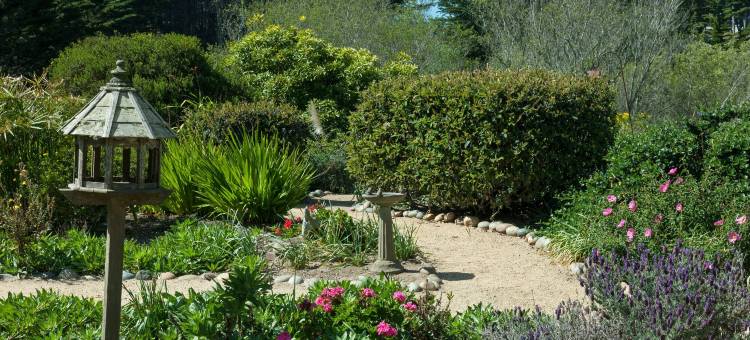 海豹湾酒店(Seal Cove Inn)图片