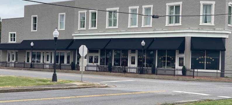 梅多斯酒店(Meadows Hotel)图片