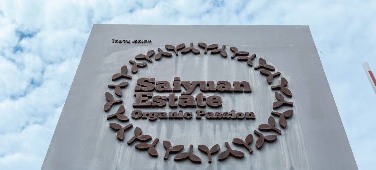 阿塔别墅酒店(Villa Ata)图片