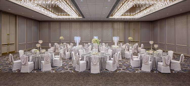 格林威广场休斯顿希尔顿逸林酒店(DoubleTree by Hilton Hotel Houston - Greenway Plaza)图片