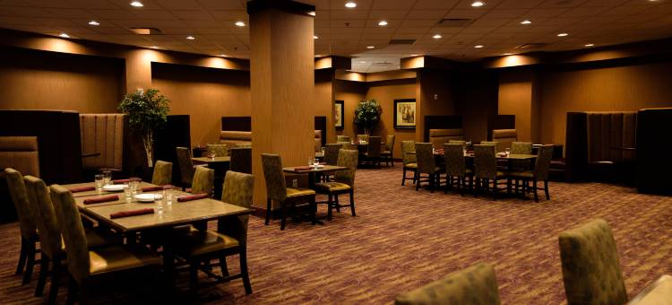 明尼阿波利斯北希尔顿安泊酒店(Embassy Suites by Hilton Minneapolis North)图片