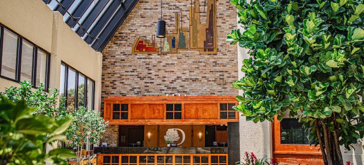 橡树岭希尔顿逸林酒店(DoubleTree by Hilton Hotel Oak Ridge-Knoxville)图片