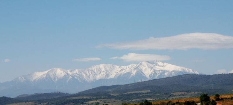 "Ground floor" in the petit domaine图片