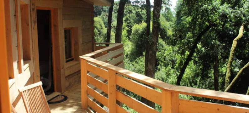 Comfortable Elegance Lodge 4/6 people图片