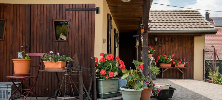 Holiday Home in Ruederbach near Lake图片