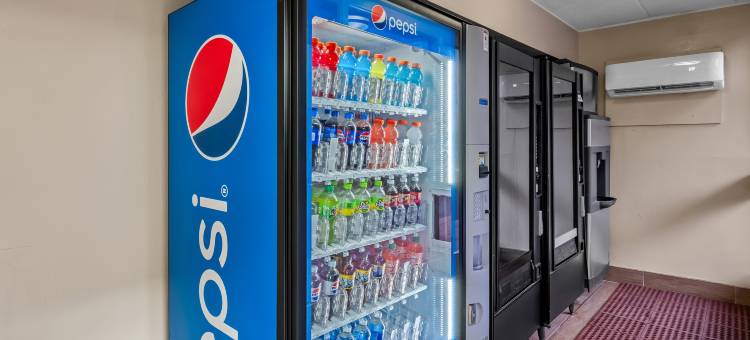 安阿伯 - 密歇根大学南红屋顶酒店(Red Roof Inn Ann Arbor - U of Michigan South)图片