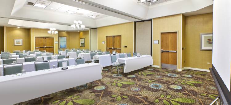 洲际酒店集团博林布鲁克假日酒店及套房(Holiday Inn & Suites Bolingbrook)图片