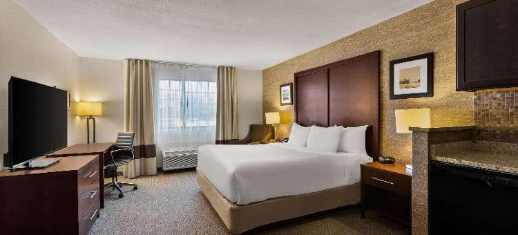 拉丁顿智选假日酒店(Comfort Inn Ludington Near US-10)图片