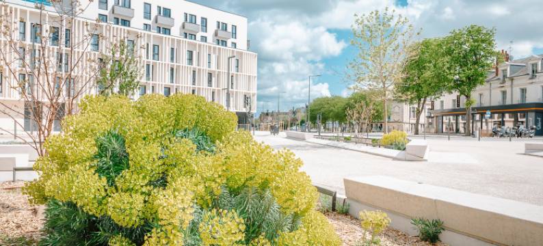 Beelodge布卢瓦中心酒店(Beelodge Hotel Blois Centre)图片