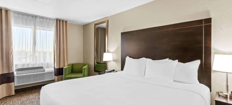 惊喜品质酒店及套房-近太阳城西(Comfort Inn & Suites Surprise Near Sun City West)图片