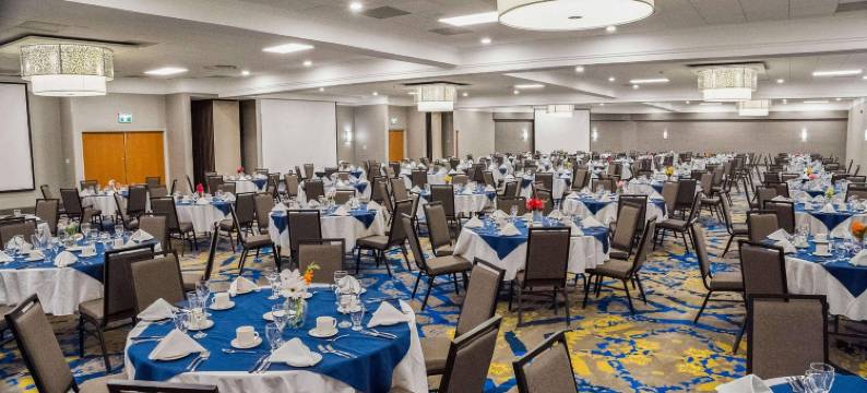 瑞德森萨德伯里酒店(Radisson Hotel Sudbury)图片