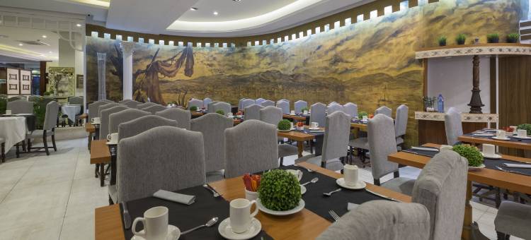 塞尔科蒂尔总统酒店(Sercotel Hotel President)图片