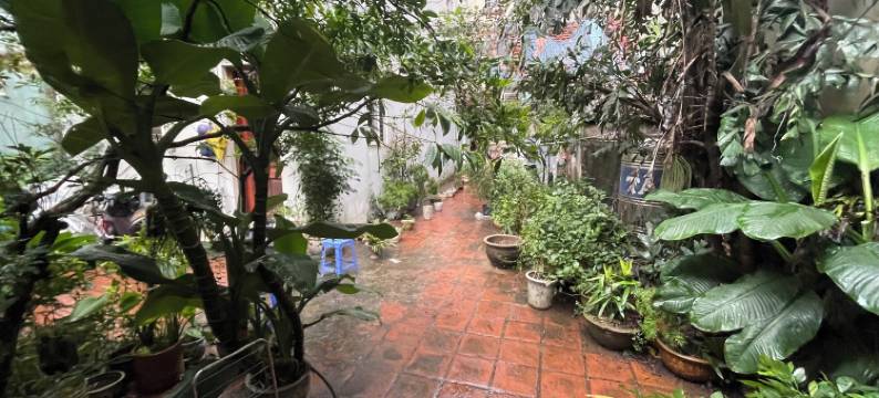 巴亭梦想家民宿(Ba Dinh le reveur Homestay)图片