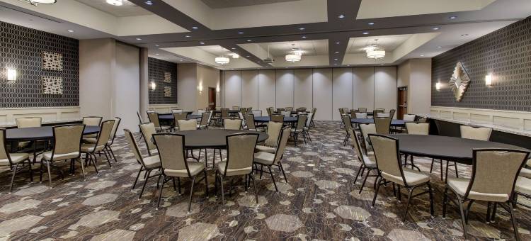 达拉斯理查森德鲁里广场酒店(Drury Plaza Hotel Dallas Richardson)图片