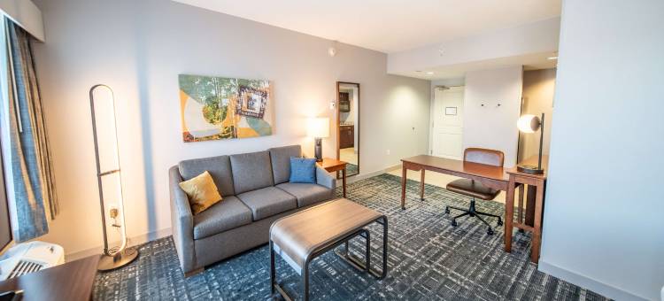 罗切斯特梅奥诊所区域圣玛丽Homewood套房酒店(Homewood Suites by Hilton Rochester Mayo Clinic Area/ Saint Marys)图片